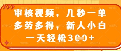 最新审核视频，几秒一单，多劳多得，新人小白一天轻松3张【揭秘】-青年云网创—高质量项目商城